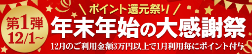 ポイント還元祭り　年末年始の大感謝祭　第1弾